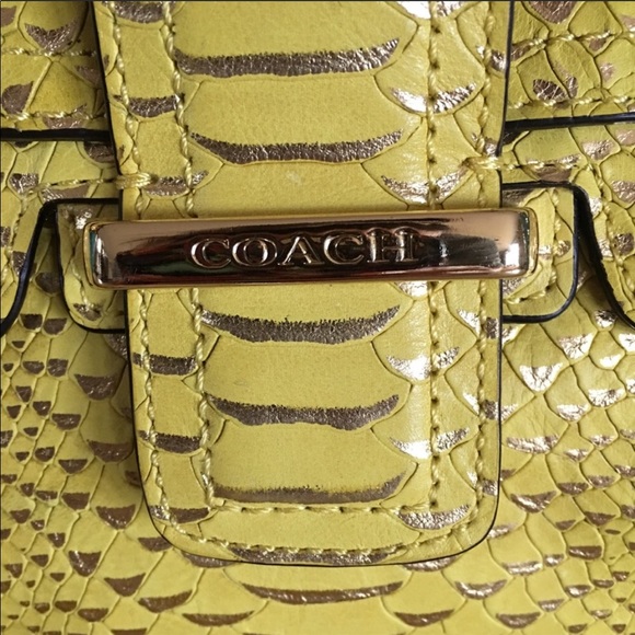 🔥 Coach Bag Python 🔥 - Picture 4 of 8